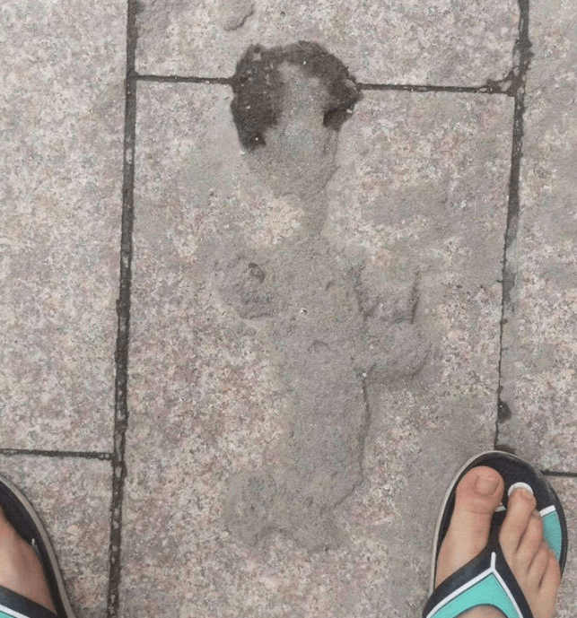 原创
工地上搬砖的姑娘,她太有爱了你想娶吗?