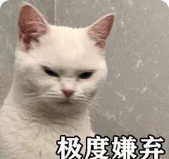 什么猫面成语_成语故事简笔画