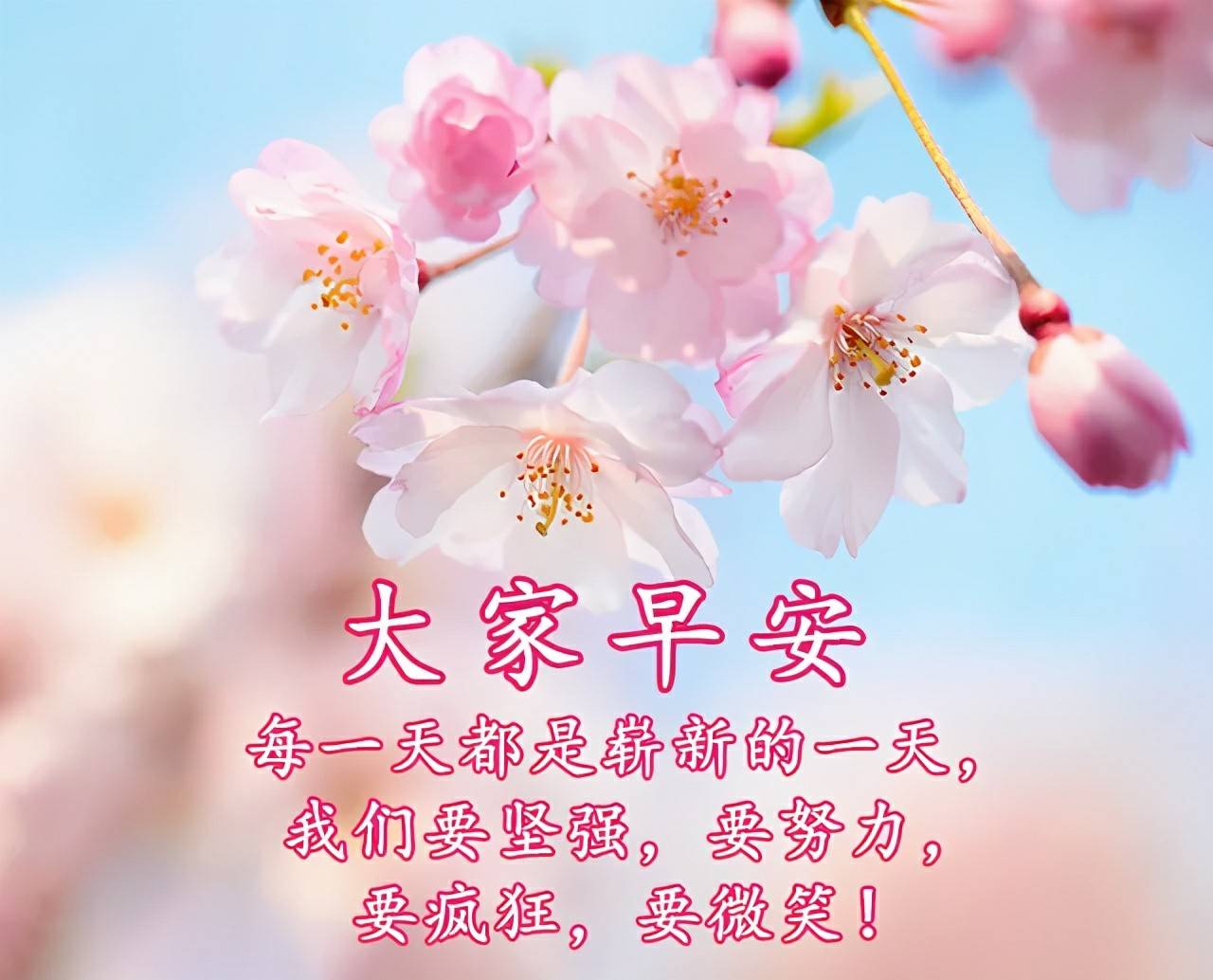 原创2021年早安好阳光祝福优美短句早上好好心情祝福语图片带字温馨