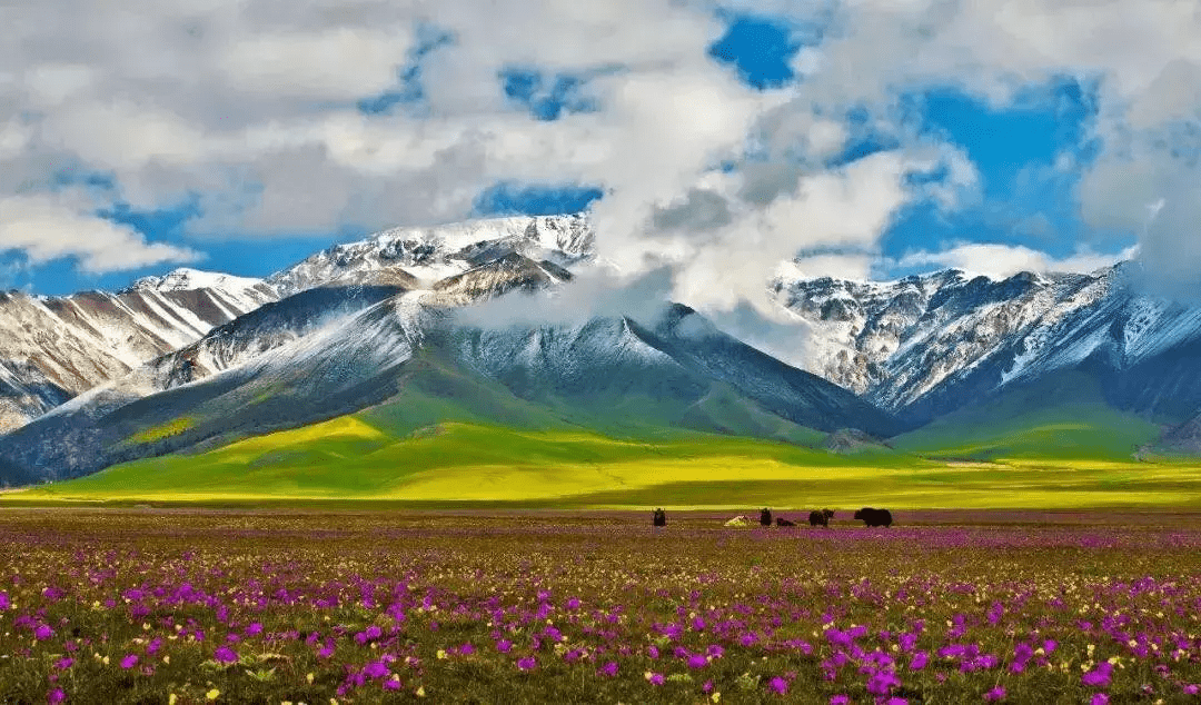 新疆旅游时间表，这么美的地方一定要去！