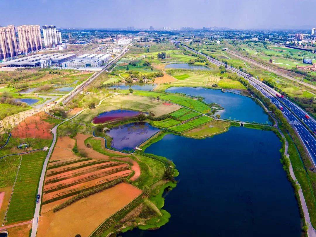 自然丨龍泉驛一座在公園裡生長的城市