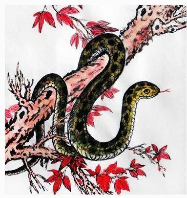 梦见蛇时孩童相伴，探索梦境中的深层寓意与心理解析