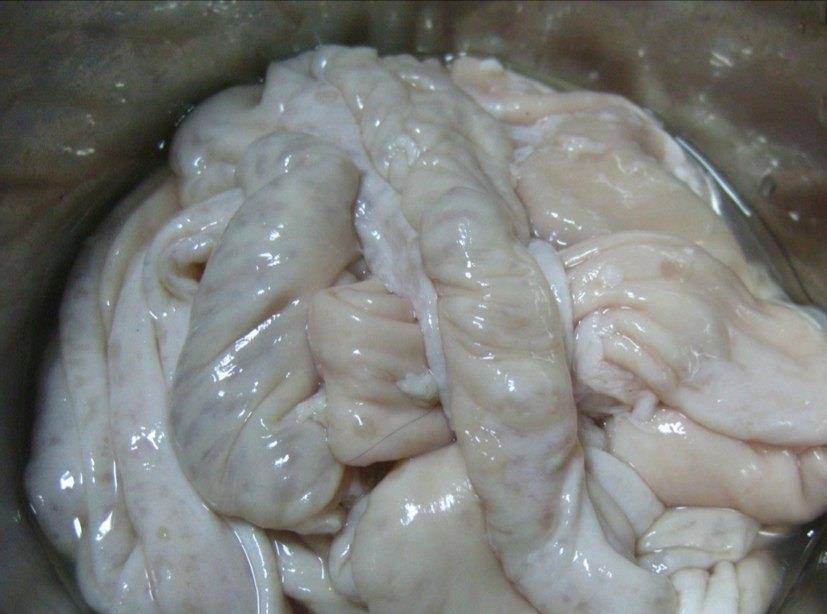 翻皮有啥好处 2438e925069e499b9bd988228a3fc48f.jpeg