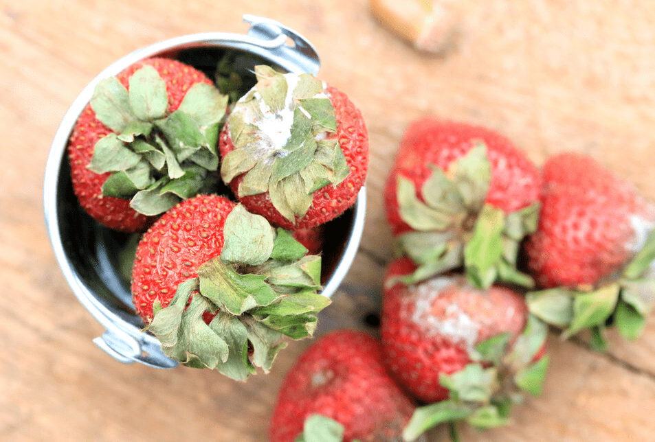 64岁肝科院士养肝冠军被揪出当零嘴吃还你婴儿肝