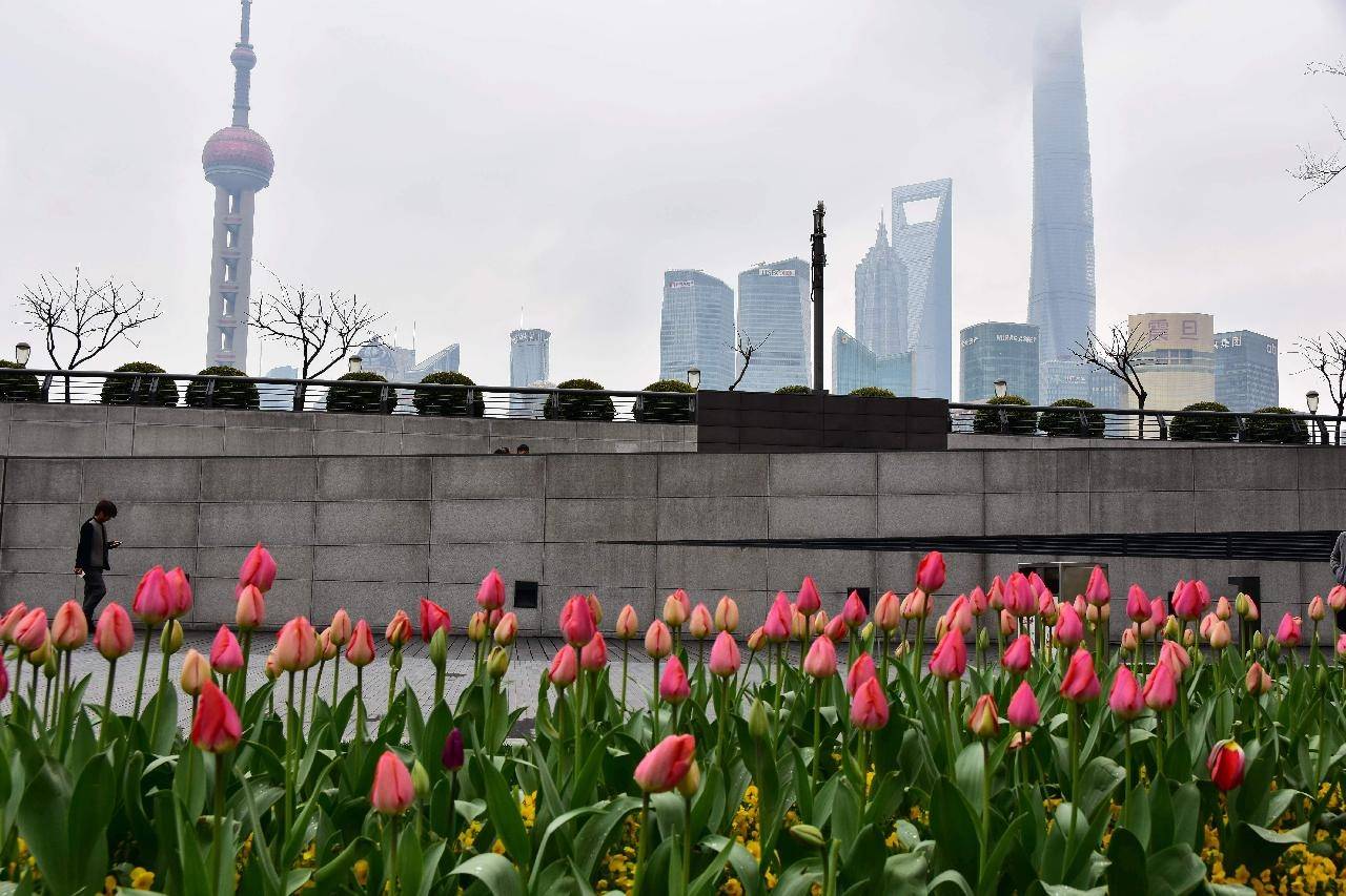 权威发布！上海市有序放开A级旅游景区接待75%的上限