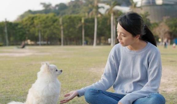 狗为啥突然不听话了 cb44394436c640629367073d519cb0c0.jpeg