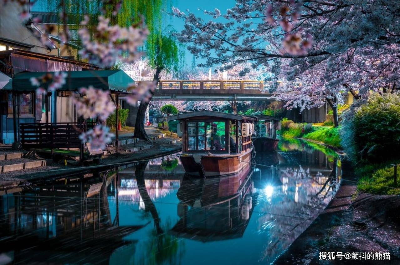 水色之夜！京都伏见十石舟的夜景照片简直就像游戏CG里的场景