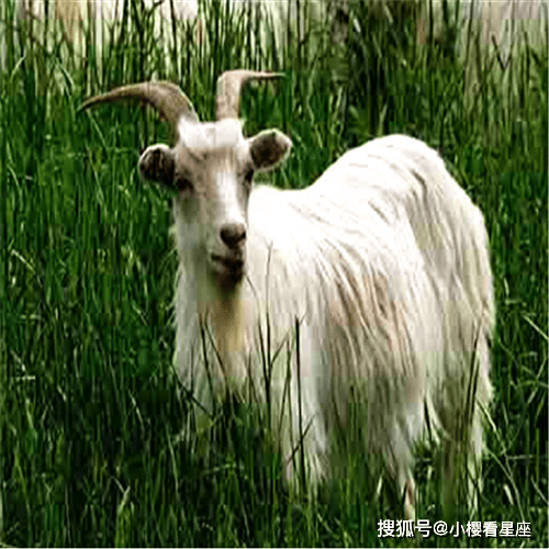 83797c13d6b4425682c1c081ef9163a1.png