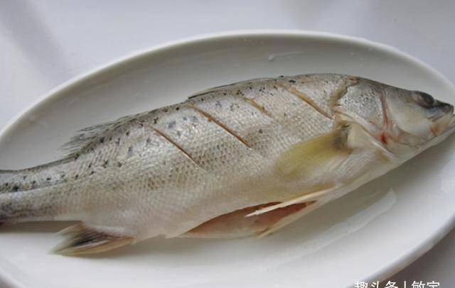 8816479f56c5472e93263251a808e49b.jpeg