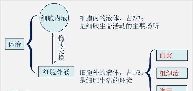 泰勒原理中的课程经验是指什么_泰勒·斯威夫特(2)