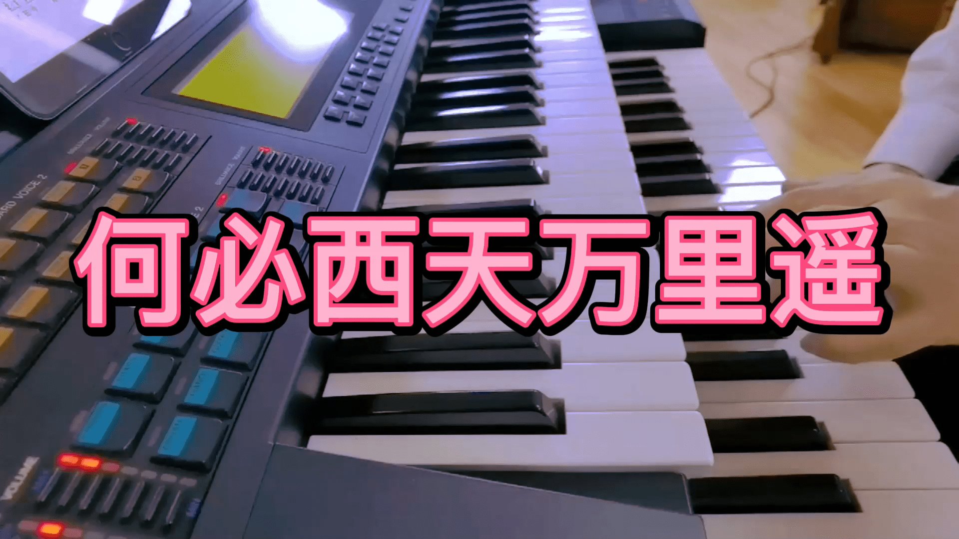 何必西天万里遥殷铁凡双排键演奏