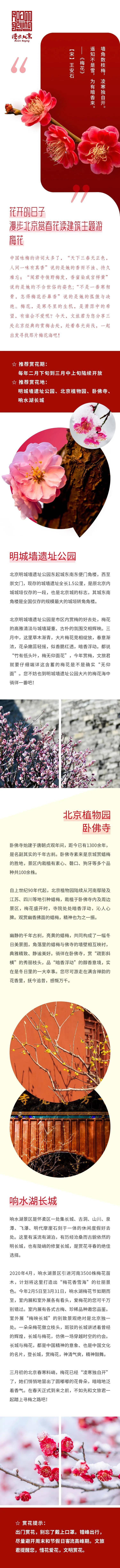 春暖花开，北京12条赏花线路，等你来打卡！