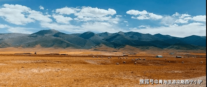 2021走一次青甘大环线，看半个中国的风景