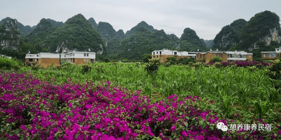 春夏最美旅行目的地，贵州万峰林旅居7天6晚 仅需6 6 0 元 /人