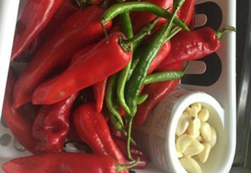 怎样腌辣椒放一年都不坏呢视频 c80d5f066a2d4da7b00b752382c3b129.jpeg