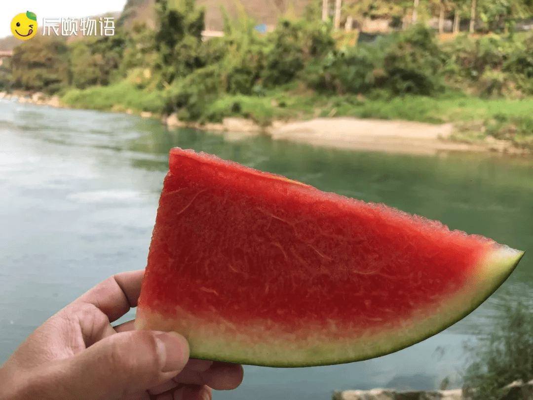 辰颐物语越南黑美人西瓜:一口要下去甜蜜蜜,自然红自然熟