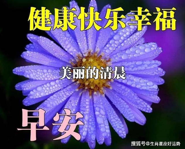 009e7176b1ce484eb9cec559a93b3dcc.jpeg