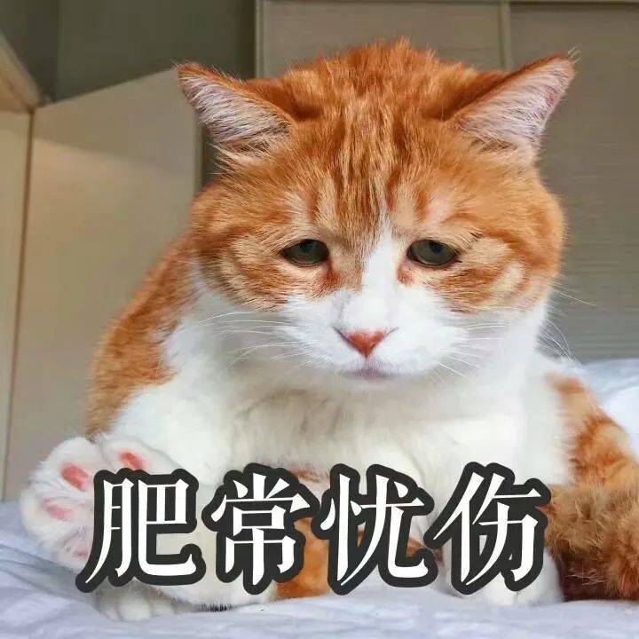 算上那些让人笑喷的沙雕和猫名叫猪叫狗都不为过 图 文