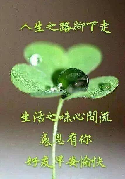 旱晨问候语早晨好  最新早上好图片 动人图片