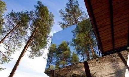 世界上那些最壮观的树屋 看看你喜欢哪一个！