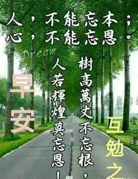 原創特漂亮的最新早上好表情圖片最美早安祝福語