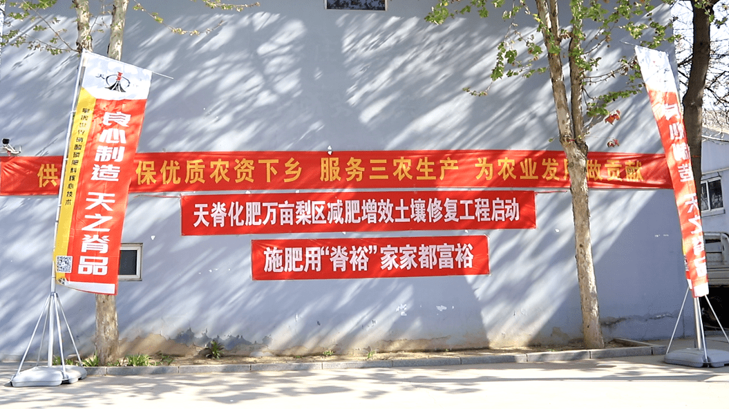 天脊田间故事天脊集团万亩梨区减肥增效土壤修复恭城启动