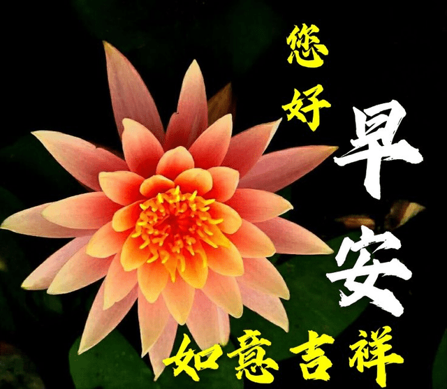 原创早安祝福语录早上好祝福图片清晨是希望的伊始早安我的朋友