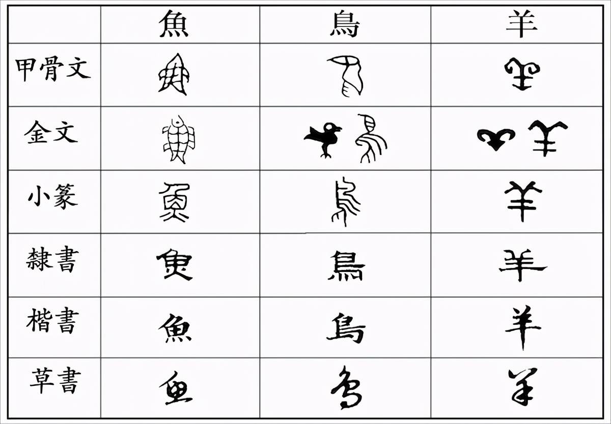 为什么说汉字和其他文字走上了不同的路