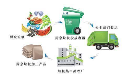 莱西垃圾混投现象多厨余垃圾回收难如何破