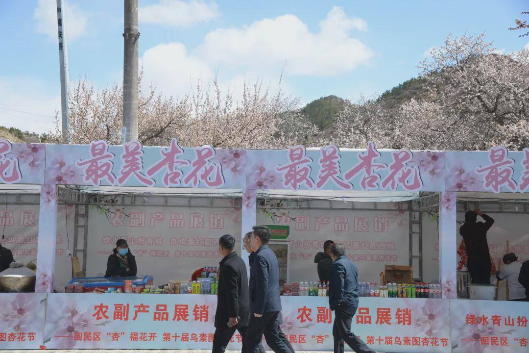 呼和浩特市回民区举办第十届乌素图杏花节