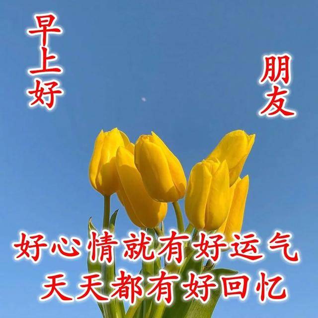 原創最美早上好暖心祝福圖片願快樂與你朝夕相處早安祝福詞句精選