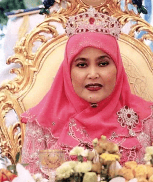 文莱王后好本事:自己脸圆颜值一般,却先后"赶走"国王两房美妾_苏丹