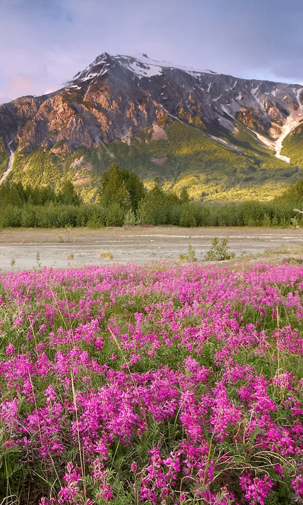 原创太美了真的太美了看一眼美进心窝