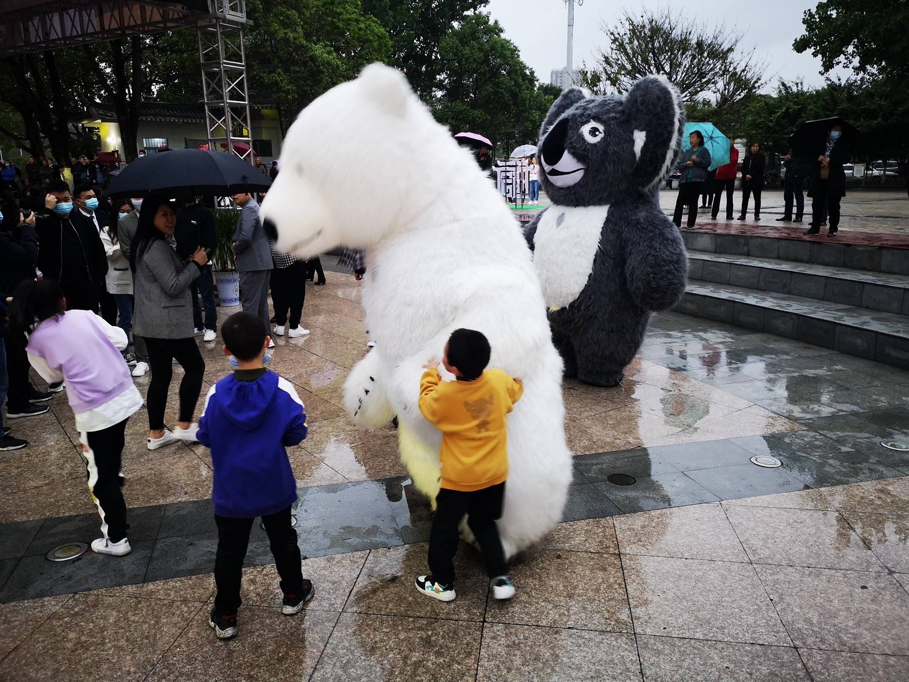 城市趣闻，“北极熊”亮相广元苴国广场，一起去看看！