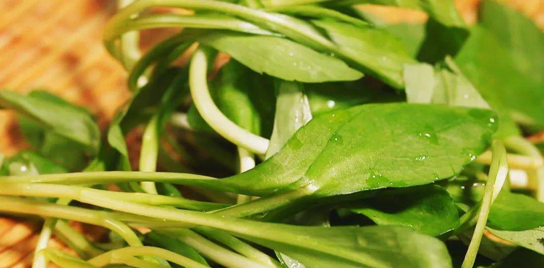 急性呼吸道感染吃什么菜 da93f70abf4a45c98e3230d994f0bfa0.jpeg