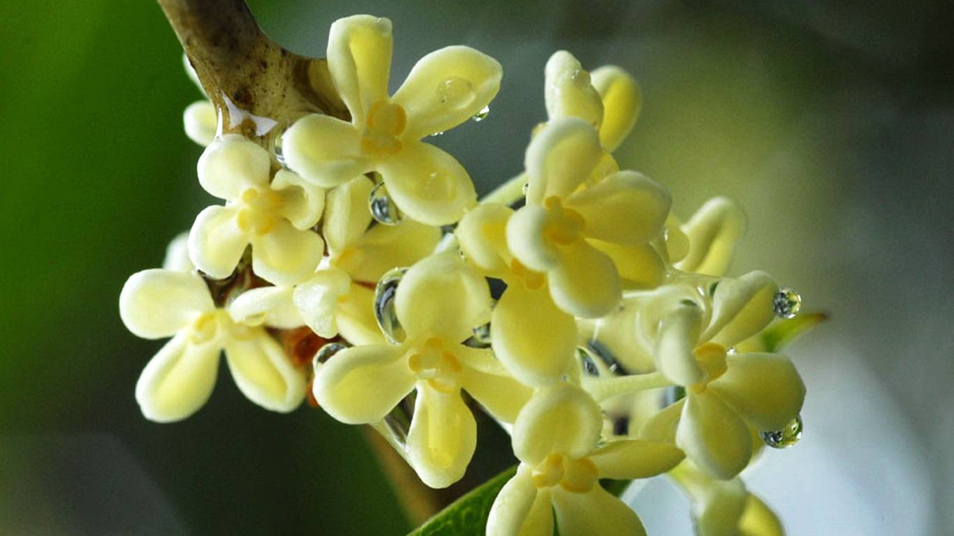 4月日星座运势 金牛明确目标 狮子甜言蜜语 双鱼集中精力 工作