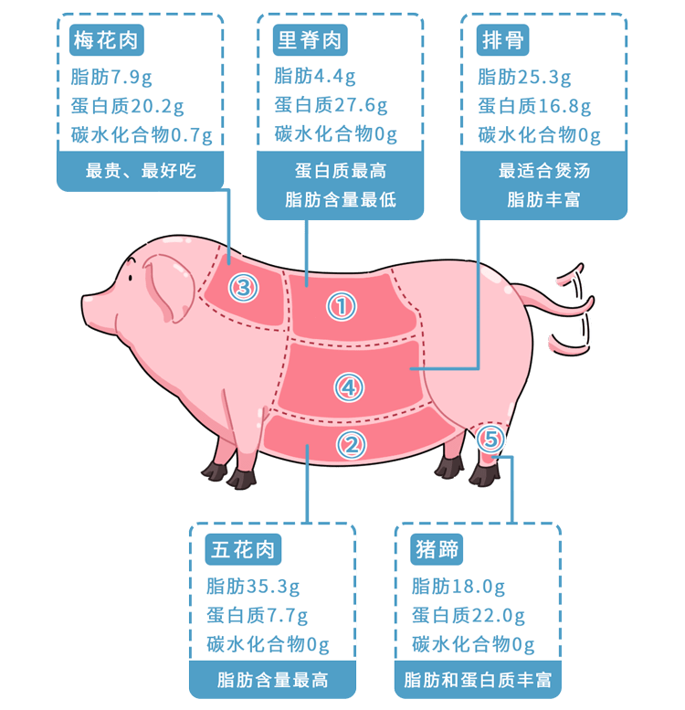 挑选猪肉的技巧,怎么挑选才能避开僵尸肉,瘦肉精?_冷冻