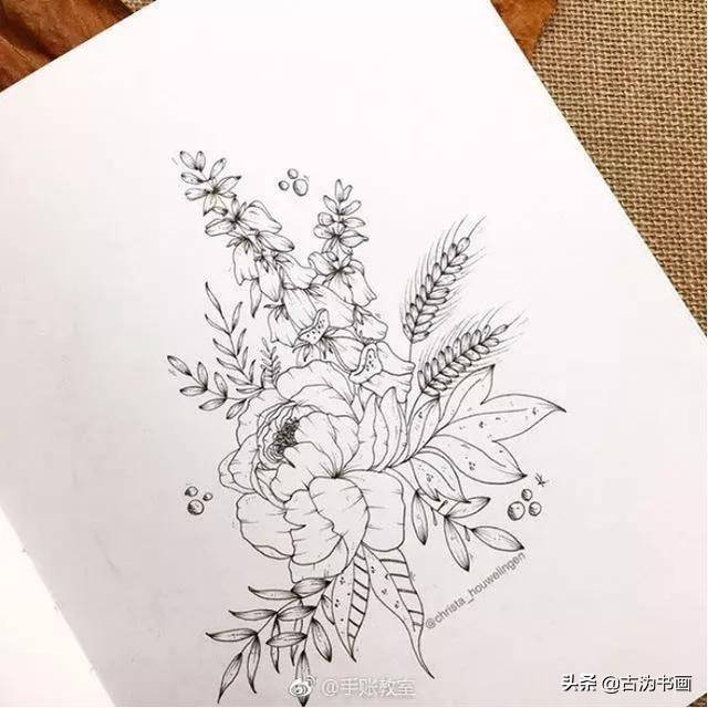 99張花卉線描工筆插畫都能用得著拿去學習吧