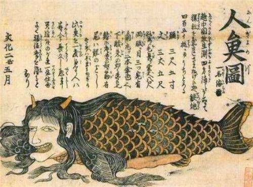 古籍中记载的 美人鱼 是什么 古人 遇见这种海女 你就倒霉了 人类