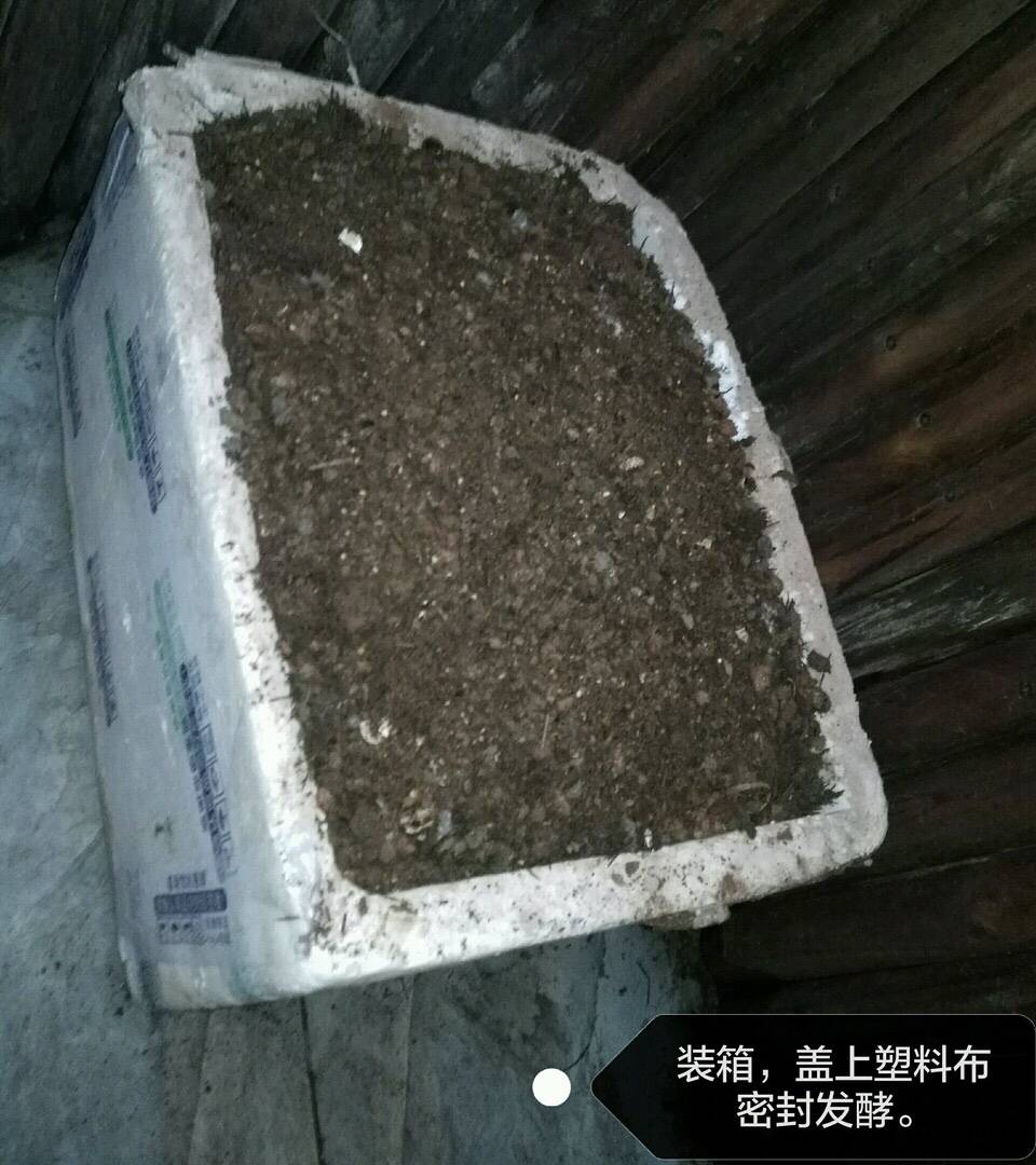 fdaf662af91847ceb0650786e3e0cce1.jpeg