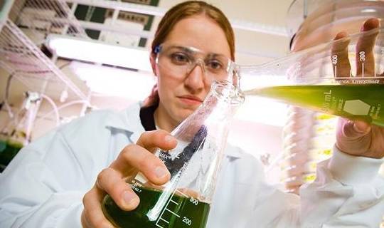 生物专业排行_中国高校生物专业排名:清华第1,浙大、武大、兰大实力也不俗