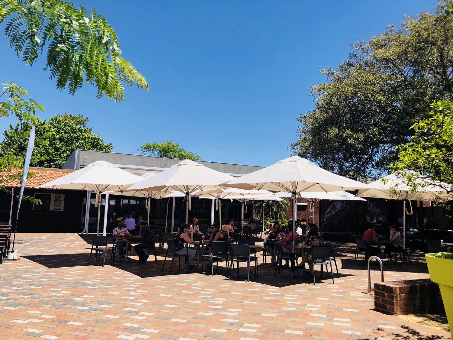 弗林德斯大学的主校区(bedford park)在阿德莱德,离市中心有10公里