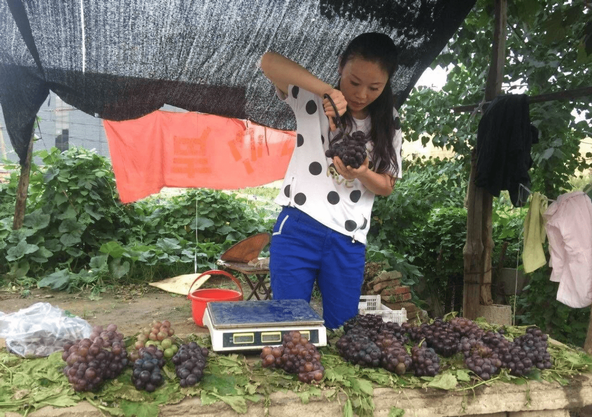 曾被称为"女版朱之文"的草帽姐,如今街边卖葡萄,网友:怪她自己_徐桂花