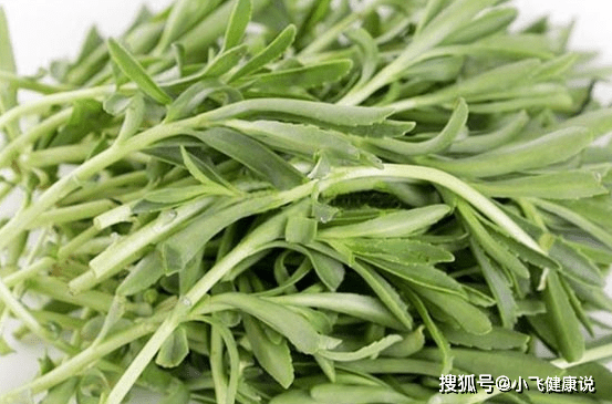 不常見的野菜是綠色菜有4大功效這樣做最好吃早看早受益