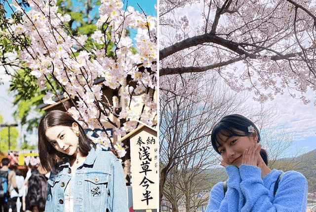 拍摄樱花穿什么颜色衣服