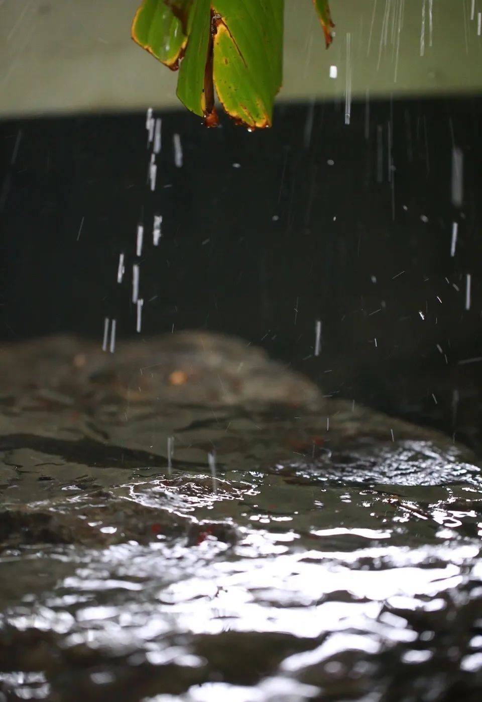 梦见下雨预示什么？解码梦境中的水象密码与人生启示