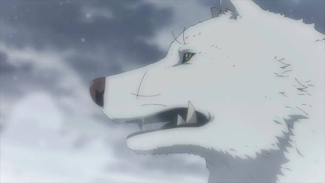 但由于小白"不灭不死"的特性,它很快就治愈了自己身上的伤口,开始在