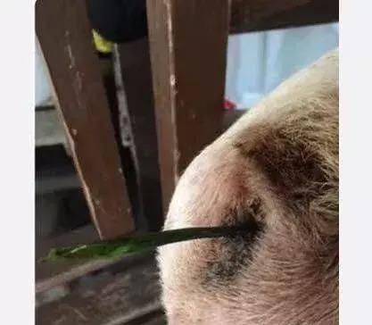 035751fb13d34548a6274bdcfa2458e2.jpeg