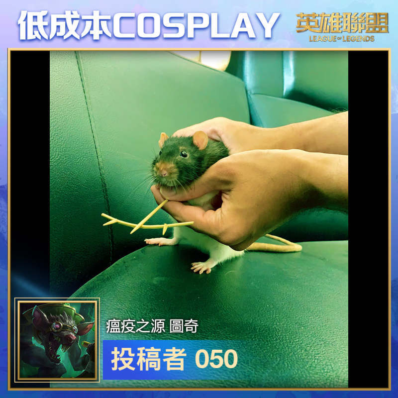 b14b6290ff7f4b3c8c16046501fa6e0b.jpeg
