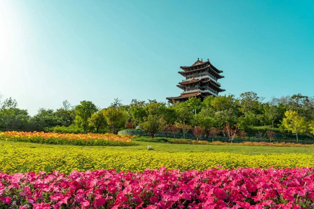 五一郑州园博园活动大集合!让你嗨玩这个小长假_动物